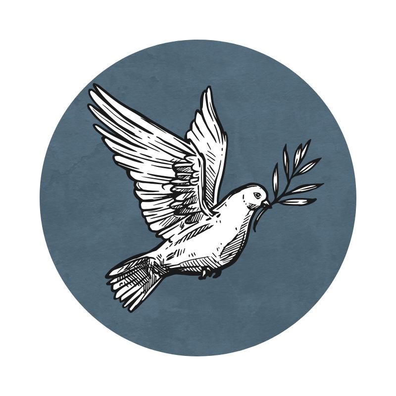 灰鴿執念研究所